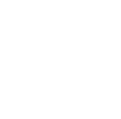 MVMNT365 FIN-white